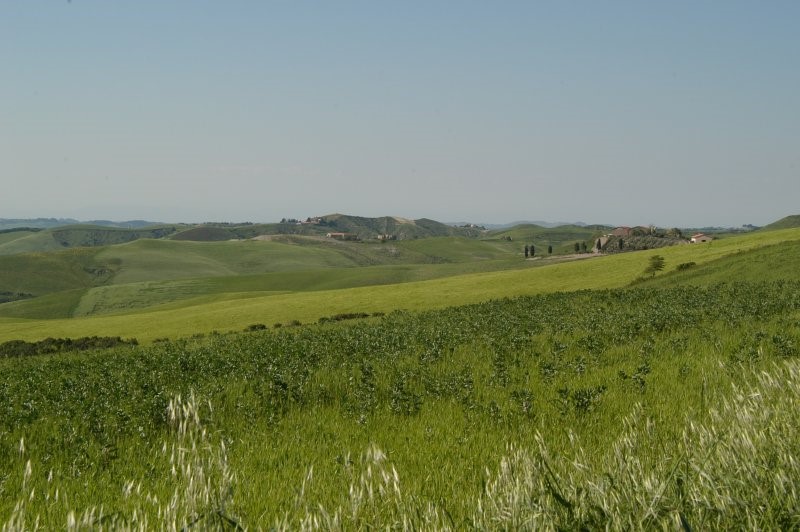 BIBBONA CAMPAGNA